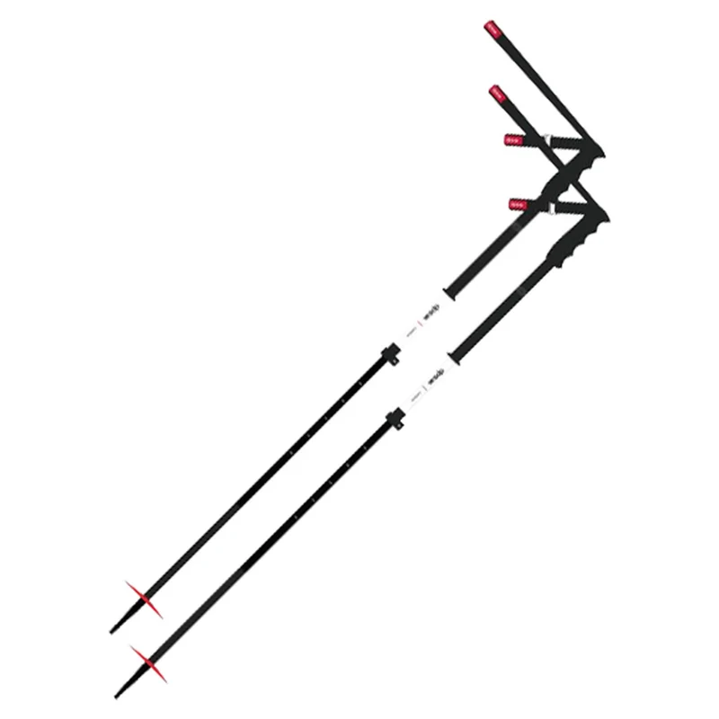 DPS Extendable Ski Pole