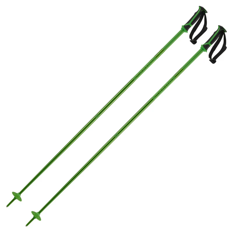 2023 Salomon Arctic Ski Pole