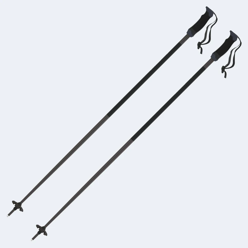 Atomic AMT SQS Ski Poles