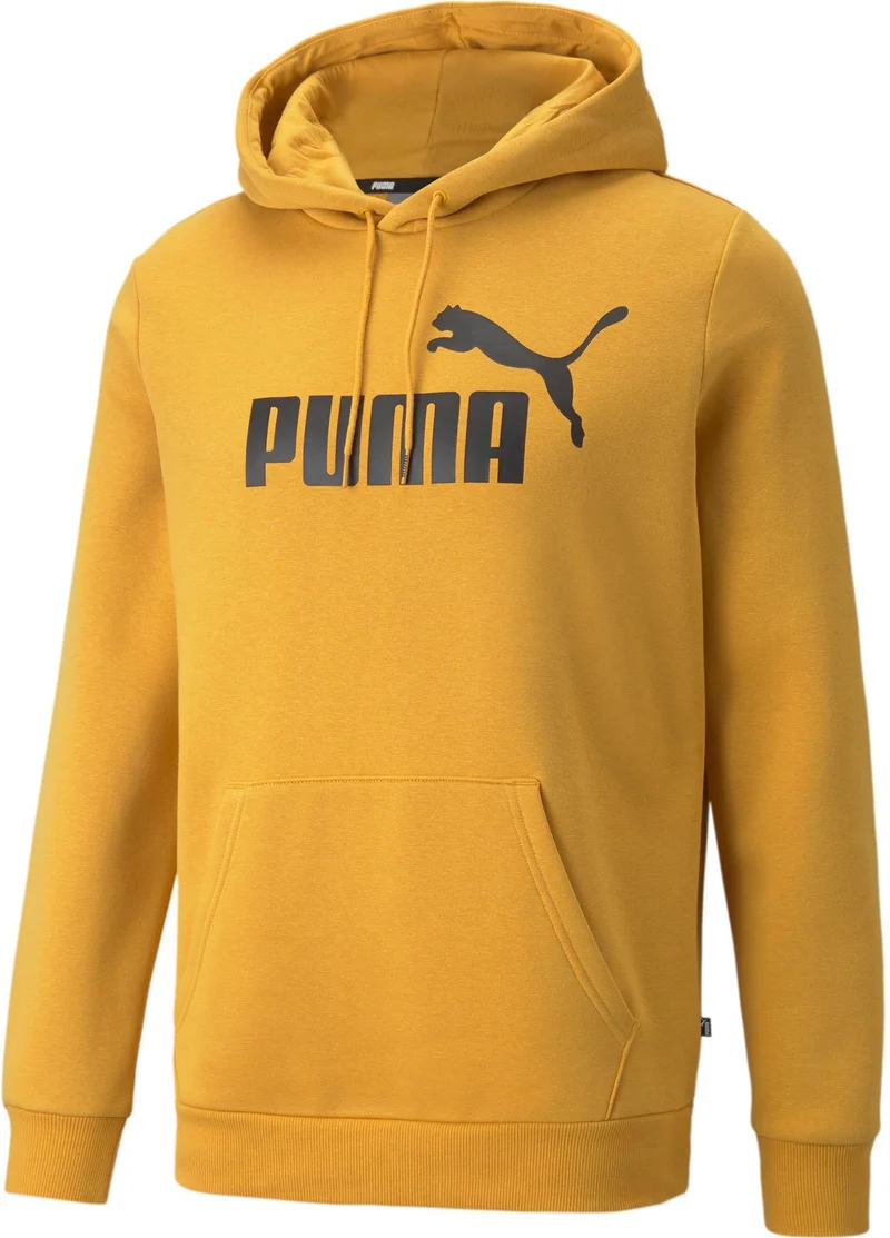 Ess Big Logo Hoodie