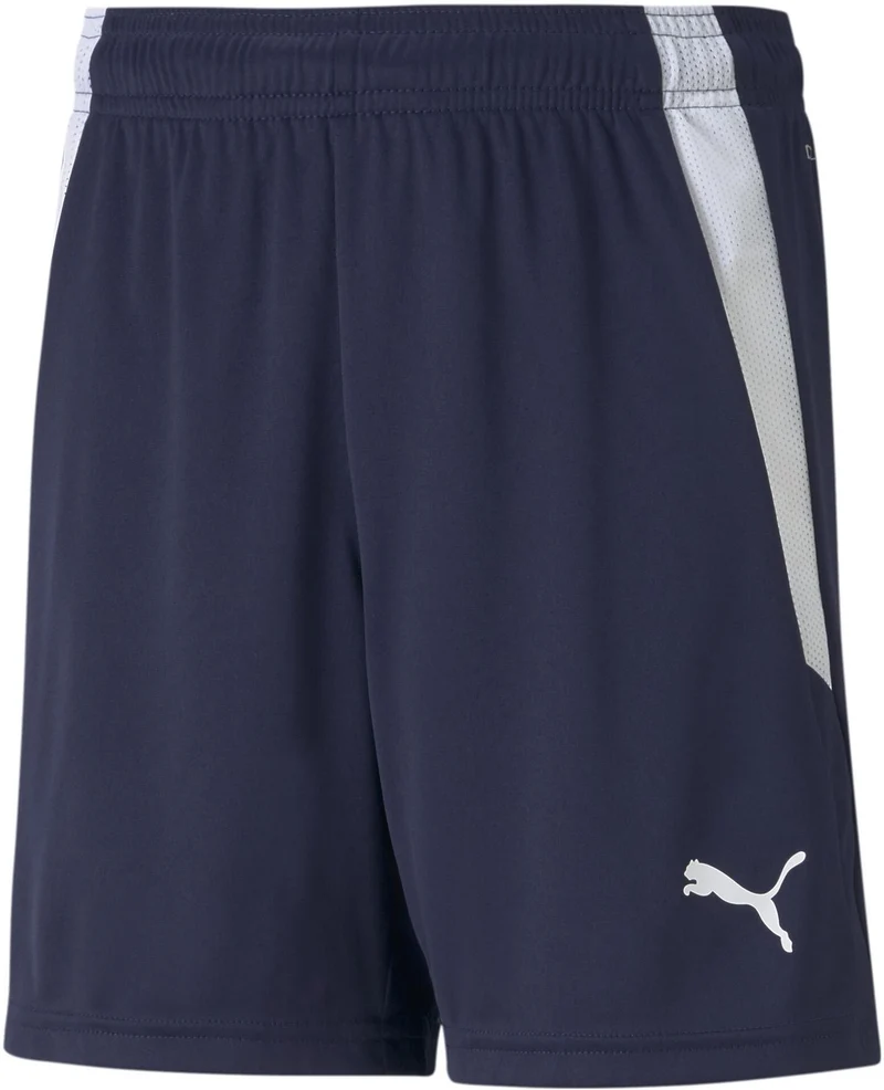 teamLIGA Shorts Short 100%PES