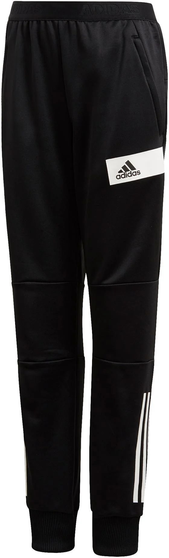 yb tr tap pant