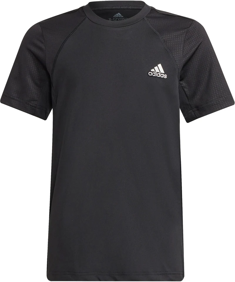 B Xfg Ar Tee