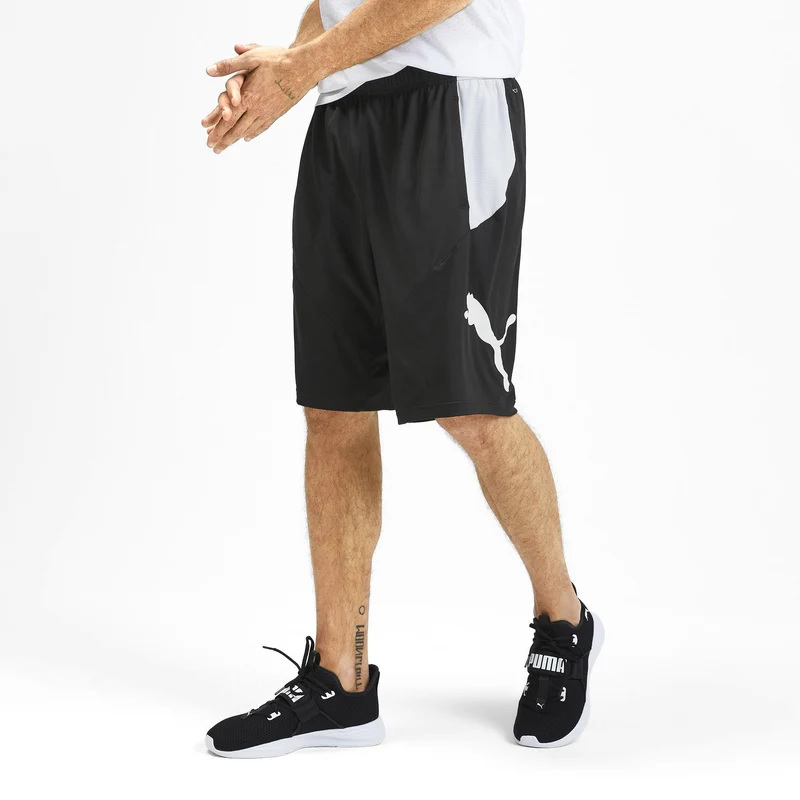 puma cat short