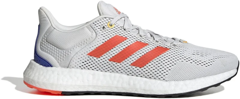Pureboost 21