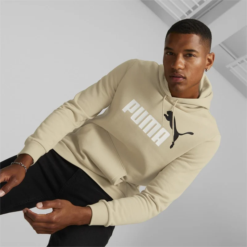Ess+ 2 Col Big Logo Hoodie
