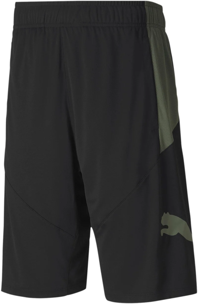 puma cat short