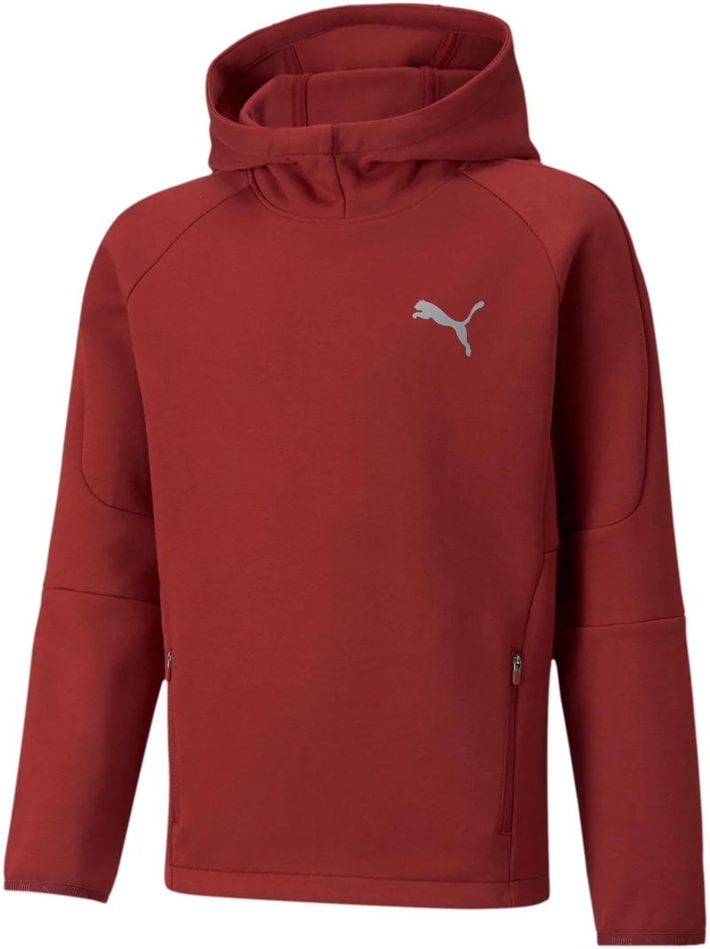 Evostripe Hoodie