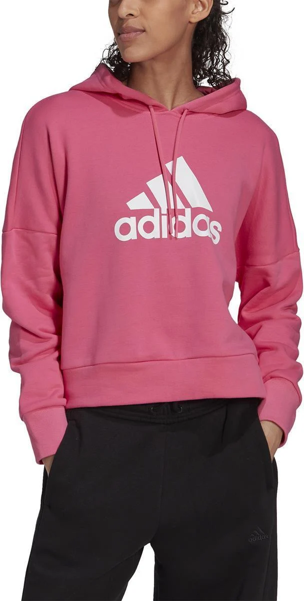 W FI BOS HOODIE